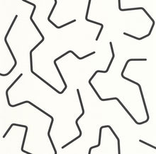 107100972 Art Line Noir Et Blanc Wallpaper by Caselio