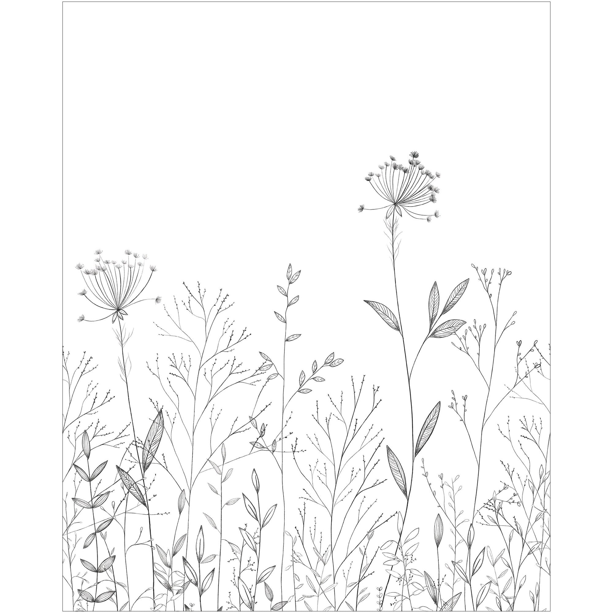 107220905 Field Line Noir Et Blanc Mural by Caselio