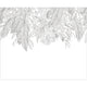 Descendant Jungle Small Noir Et Blanc Moonlight 3 Mural by Caselio