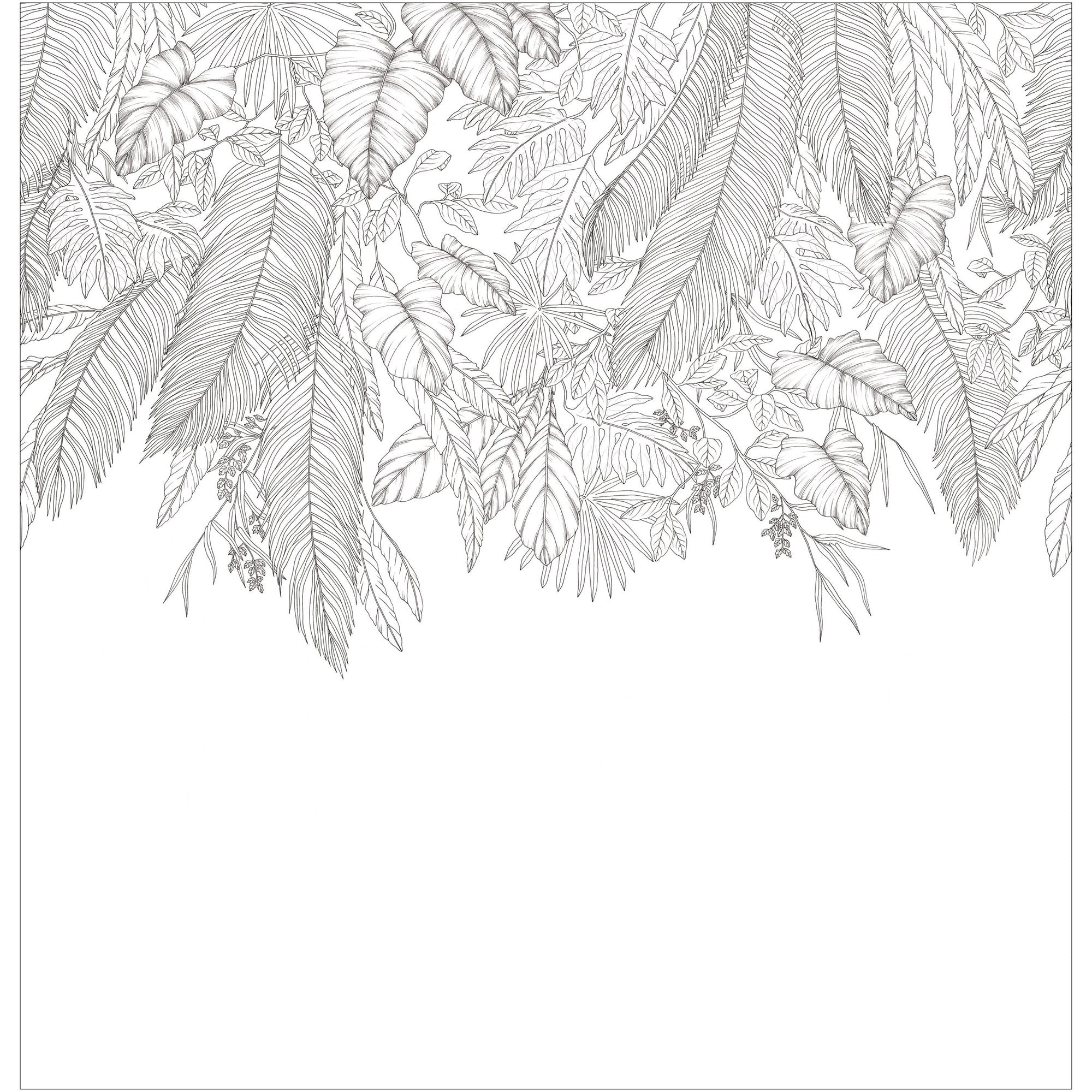 107260909 Descendant Jungle Noir Et Blanc Mural by Caselio