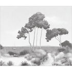 107270907 Seaside Noir Et Blanc Mural by Caselio