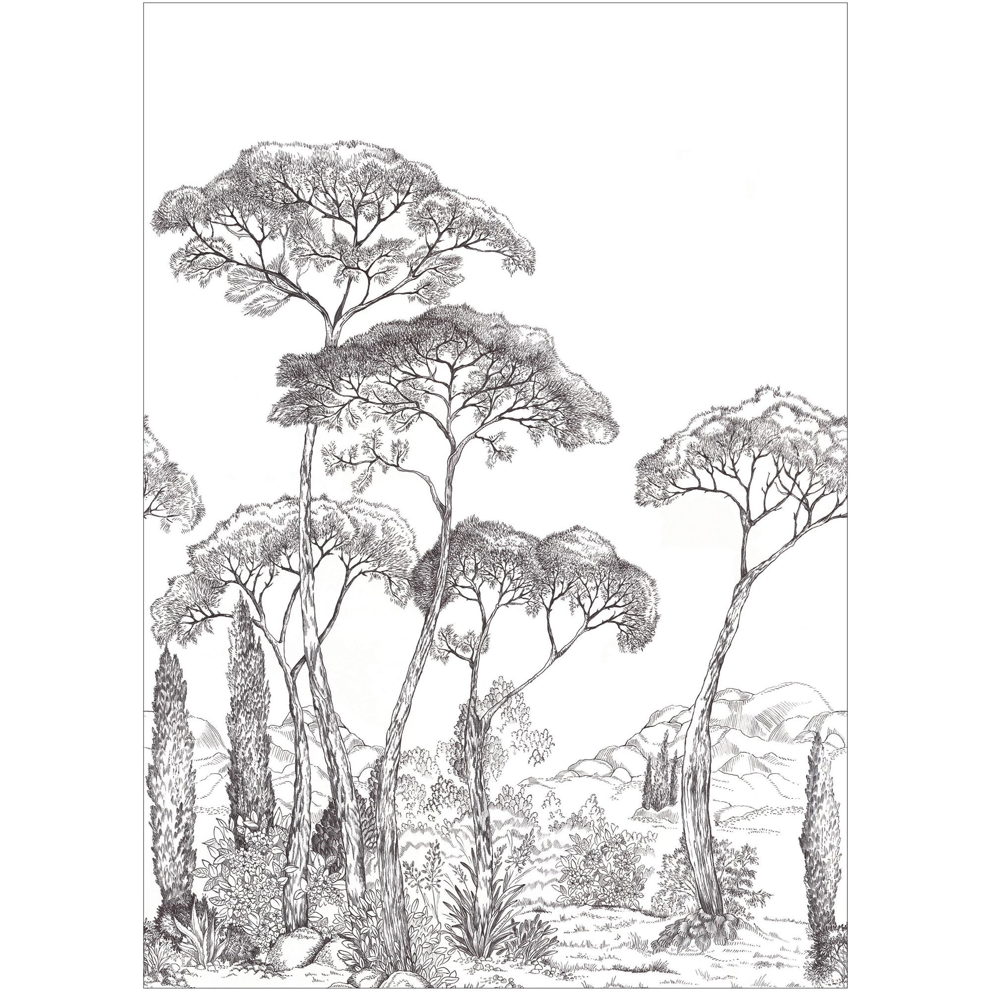 107290903 Forest Of Pinea Noir Et Blanc Mural by Caselio