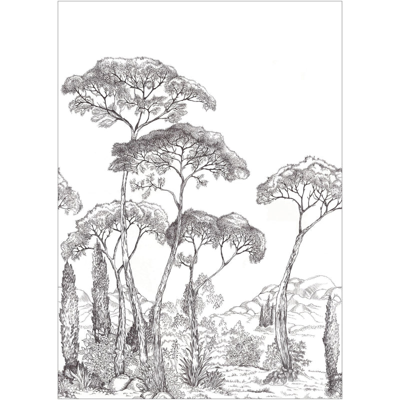 107290903 Forest Of Pinea Noir Et Blanc Mural by Caselio
