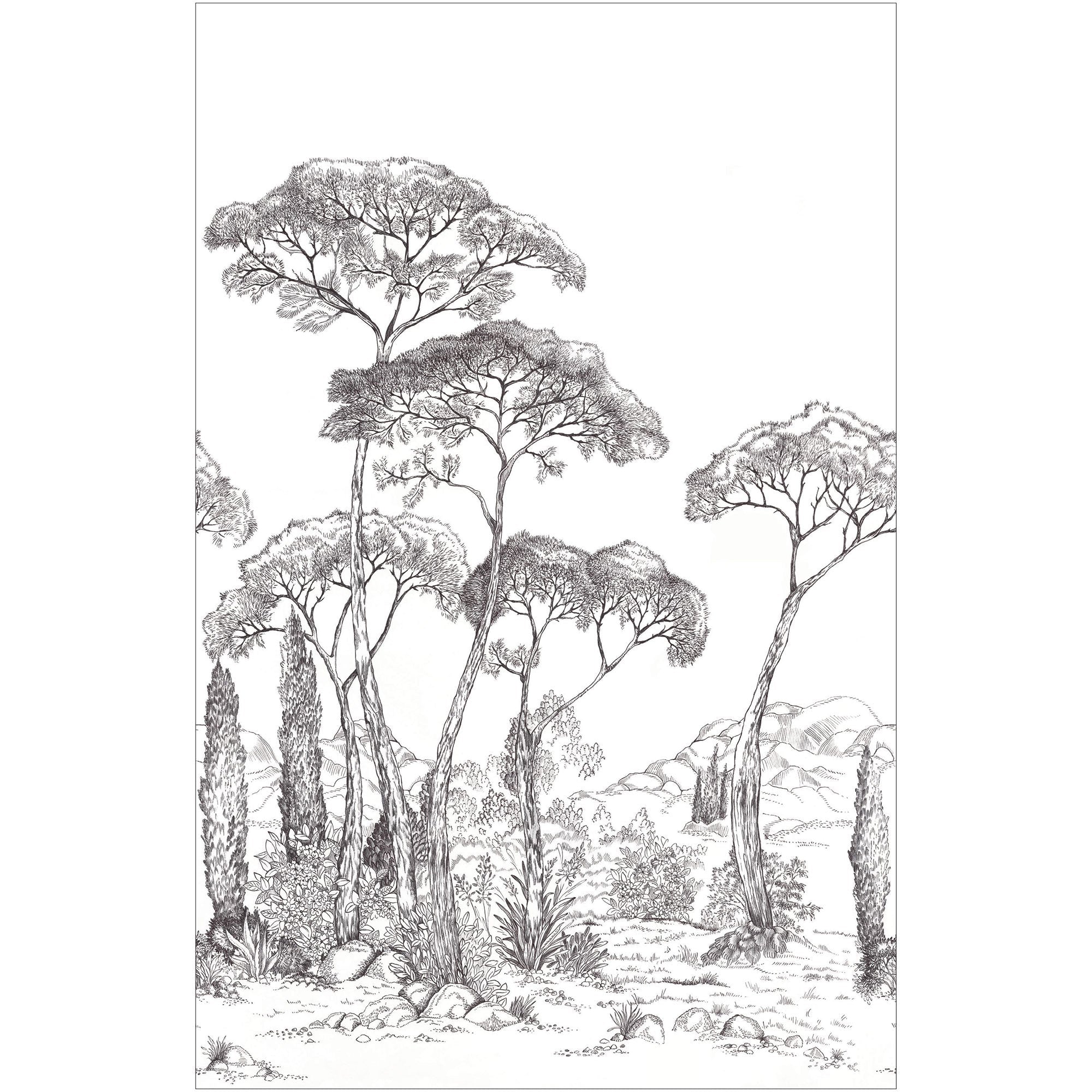 107290904 Forest Of Pinea Noir Et Blanc Mural by Caselio