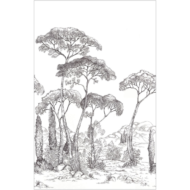 107290904 Forest Of Pinea Noir Et Blanc Mural by Caselio