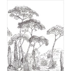 107290905 Forest Of Pinea Noir Et Blanc Mural by Caselio