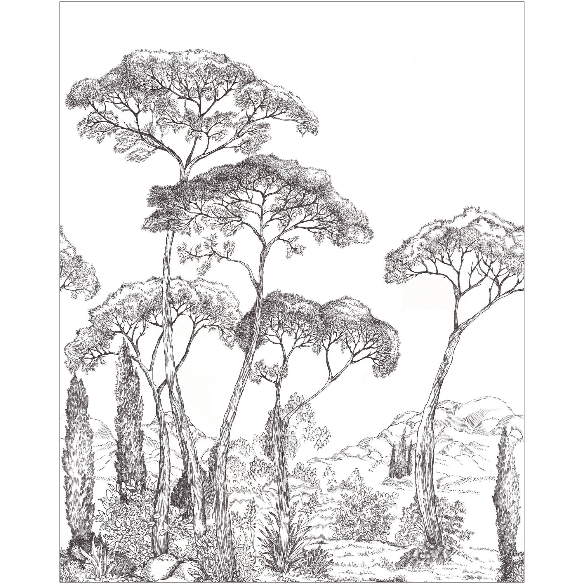 107290905 Forest Of Pinea Noir Et Blanc Mural by Caselio