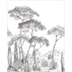 Forest Of Pinea Small Noir Et Blanc Moonlight 3 Mural by Caselio