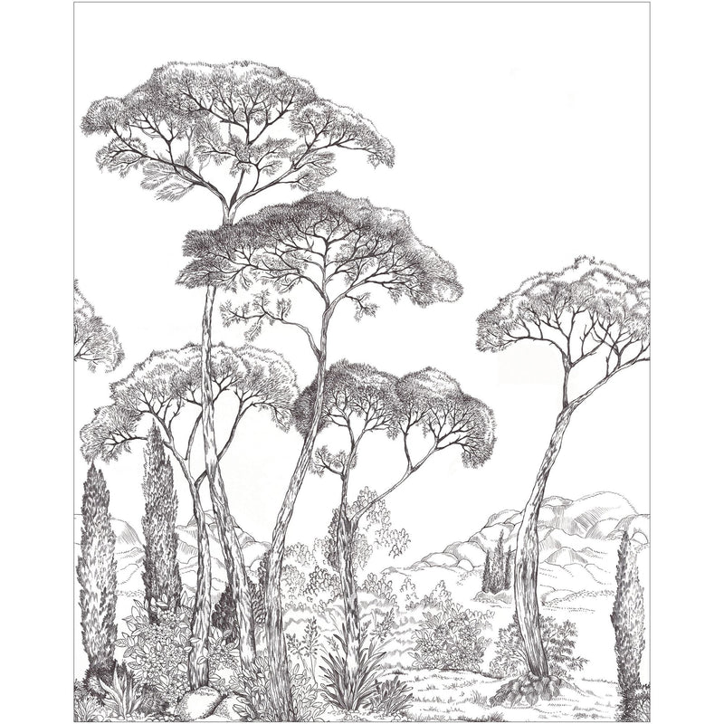 107290905 Forest Of Pinea Noir Et Blanc Mural by Caselio