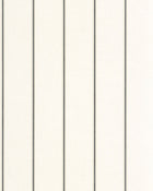 MIP107751295 Dot Line Taupe Black Wallpaper by Caselio
