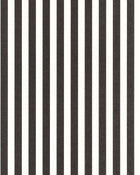 MIP107769001 Bold Line Black Wallpaper by Caselio