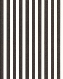 MIP107769001 Bold Line Black Wallpaper by Caselio