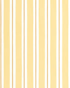 MIP107812020 Painted Line Yellow Wallpaper by Caselio