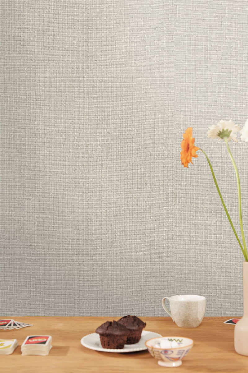 MIP104019732 Uni Mat Grey Galet Wallpaper by Caselio