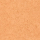 101483312 Beton Uni Terre Cuite Color Box 3 Wallpaper by Caselio