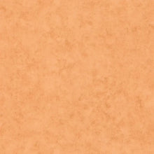 101483312 Beton Uni Terre Cuite Color Box 3 Wallpaper by Caselio