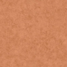 101483434 Beton Uni Acajou Color Box 3 Wallpaper by Caselio