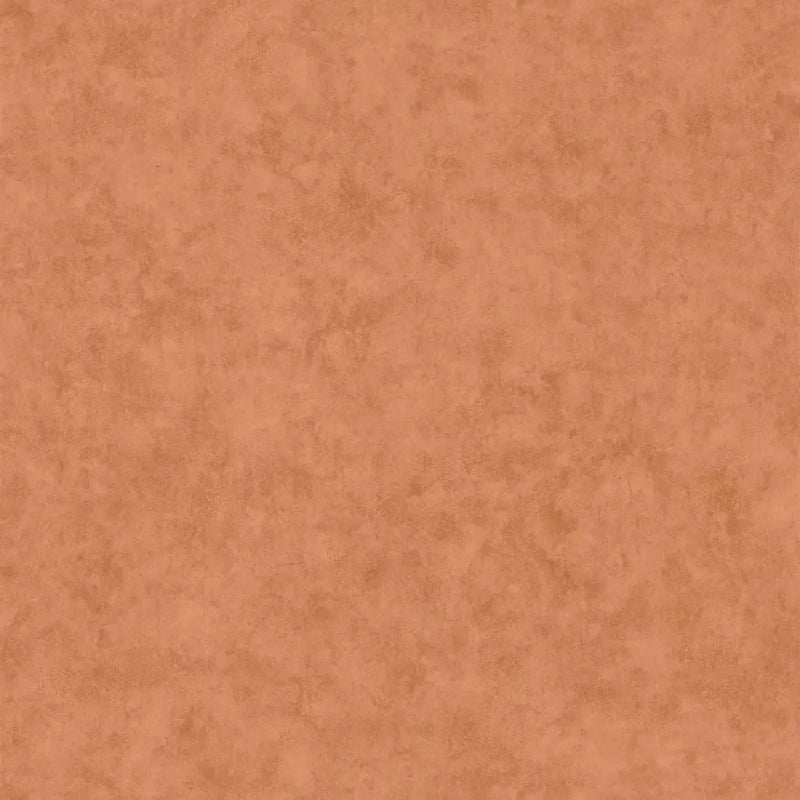101483434 Beton Uni Acajou Color Box 3 Wallpaper by Caselio