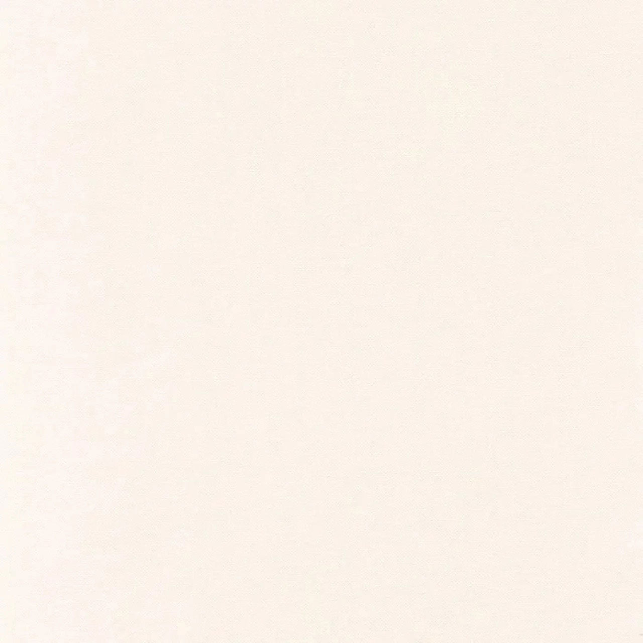 101561210 Uni Natte Beige Sable Color Box 3 Wallpaper by Caselio