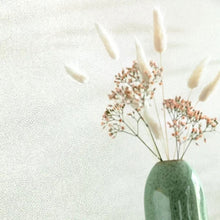 101847028 Flower Power April Vert D'Eau Irise Color Box 3 Wallpaper by Caselio