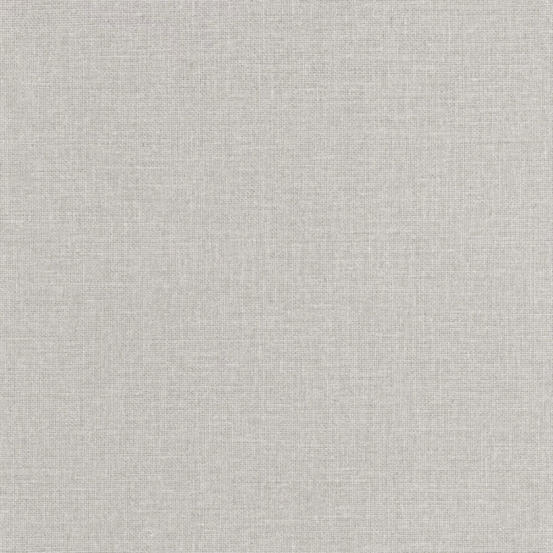 104019156 Uni Mat Gris Clair Color Box 3 Wallpaper by Caselio