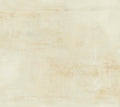 Salt Flats Desert Carol Benson Cobb Wallpaper by York Wallcoverings