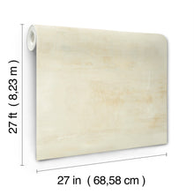 CC1221 Salt Flats Desert Carol Benson Cobb Wallpaper by York Wallcoverings