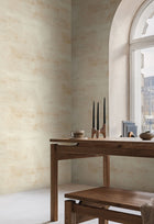 CC1221 Salt Flats Desert Carol Benson Cobb Wallpaper by York Wallcoverings