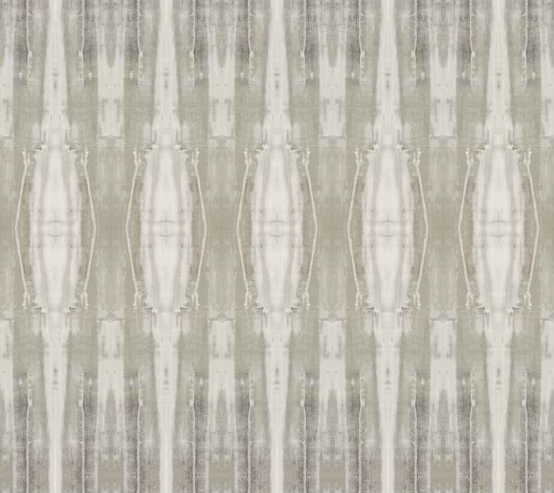 CC1233 Escalante Fossil Carol Benson Cobb Wallpaper by York Wallcoverings