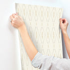 CC1282 Artifacts Silhouettes Desert Carol Benson Cobb Wallpaper by York Wallcoverings