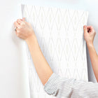 CC1283 Artifacts Silhouettes Natural Carol Benson Cobb Wallpaper by York Wallcoverings