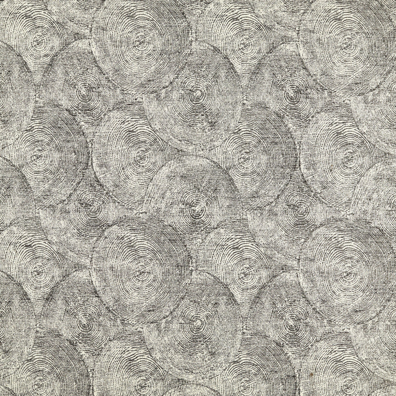 CCF0879-04 Silvan Weave Charcoal Expressions Fabric by Clarke & Clarke