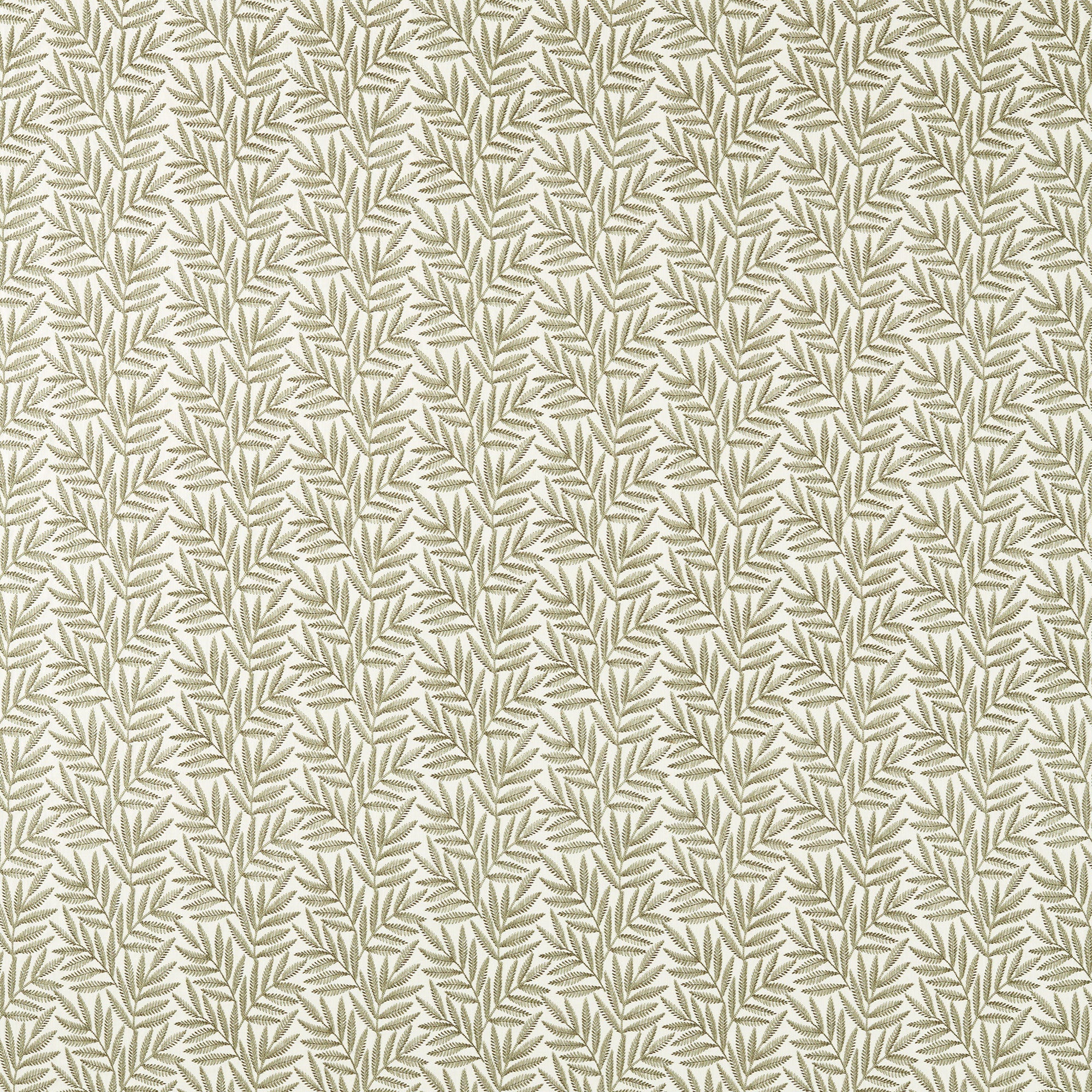 CCF0881-02 VIrgata Fern Expressions Fabric by Clarke & Clarke