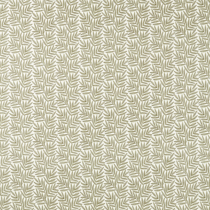 CCF0881-02 VIrgata Fern Expressions Fabric by Clarke & Clarke