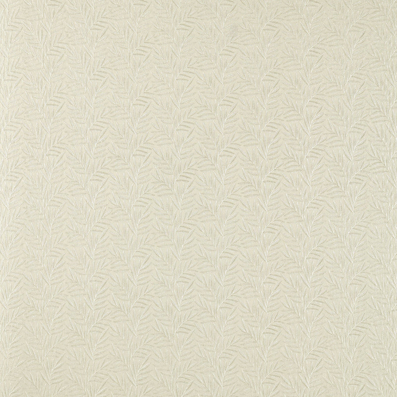 CCF0881-05 VIrgata IVory Expressions Fabric by Clarke & Clarke