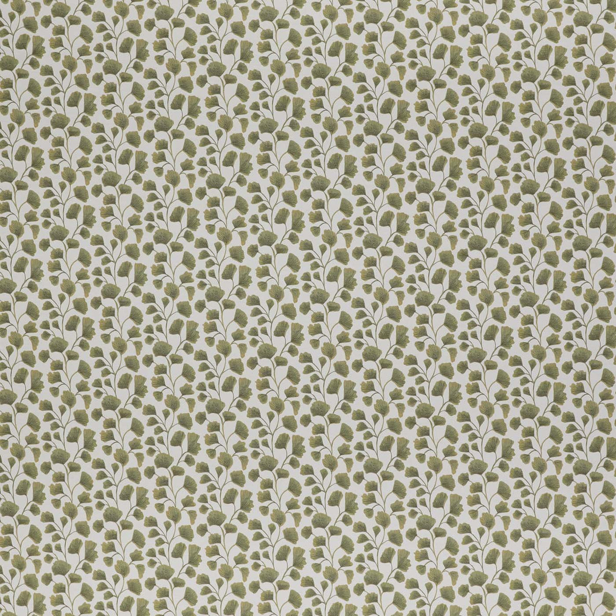CCF0894-03 Biloba Sage Cassia Fabric by Clarke & Clarke