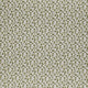 Biloba Sage Cassia Fabric by Clarke & Clarke