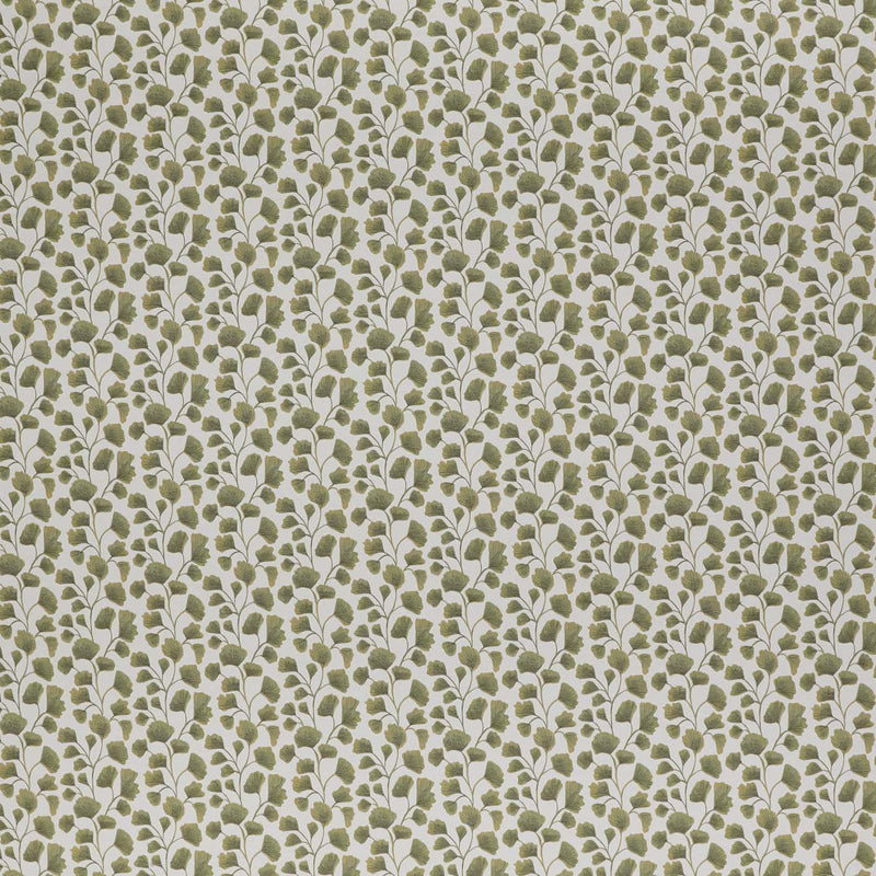 CCF0894-03 Biloba Sage Cassia Fabric by Clarke & Clarke