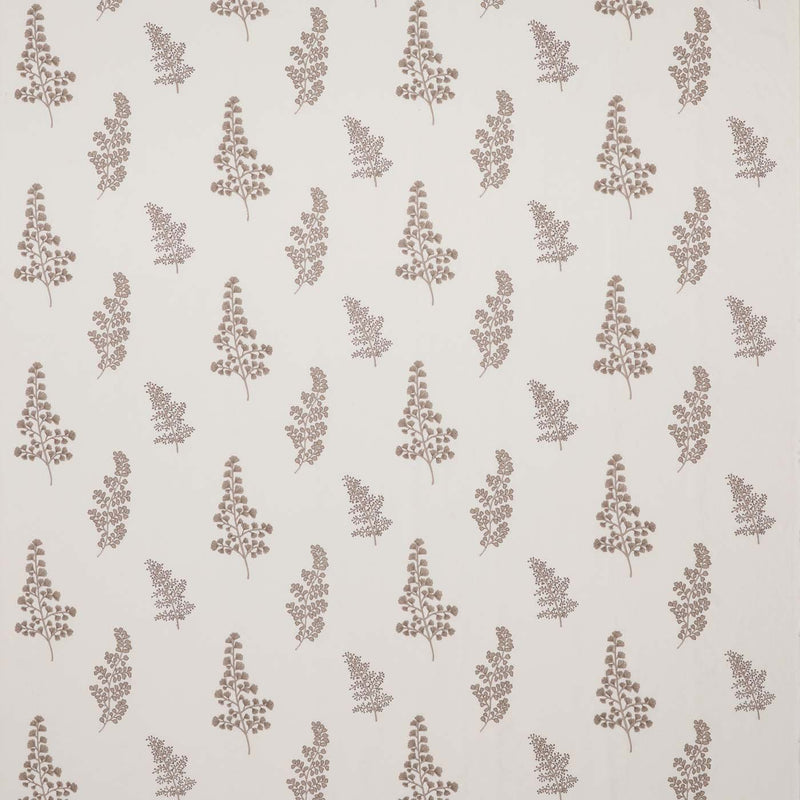 CCF0899-04 Herbarium Pebble Cassia Fabric by Clarke & Clarke
