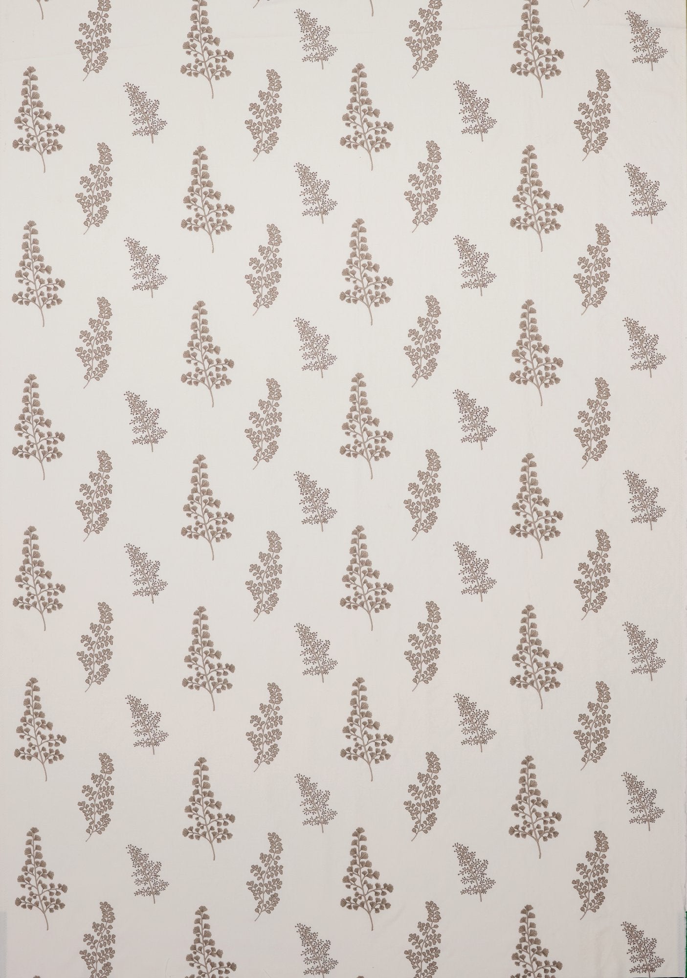 CCF0899-04 Herbarium Pebble Cassia Fabric by Clarke & Clarke