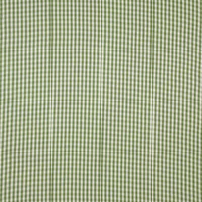 Windsor Herb Edgeworth II Fabric by Clarke & Clarke