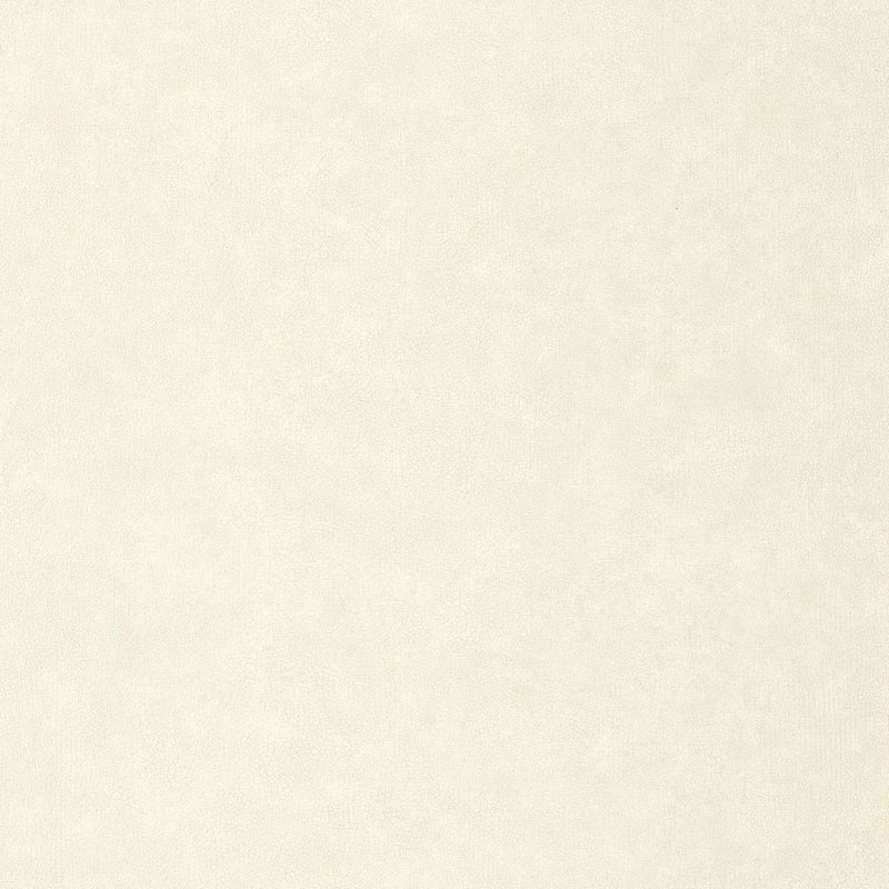 CER105240000 Uni Mat Ceramique Wallpaper by Caselio