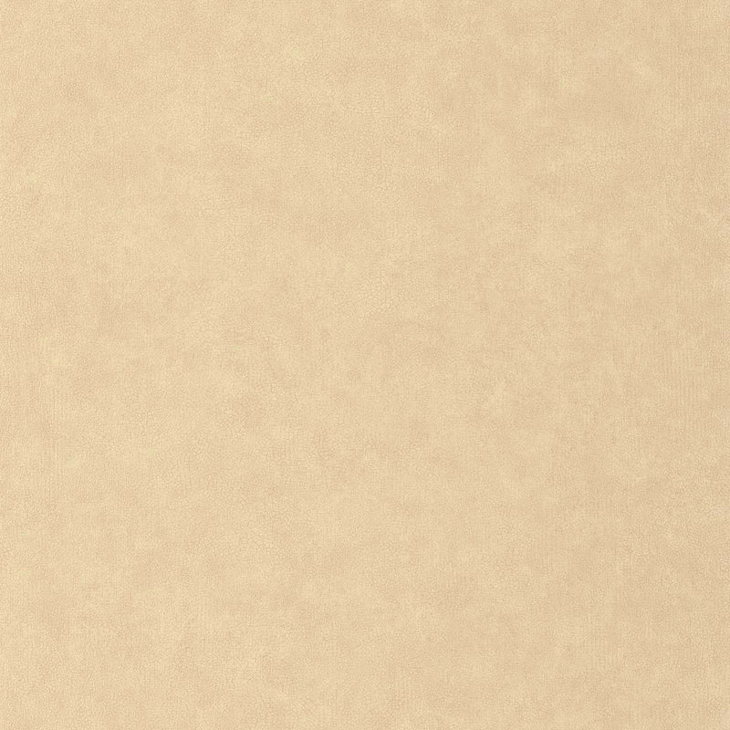 CER105241223 Uni Mat Ceramique Wallpaper by Caselio