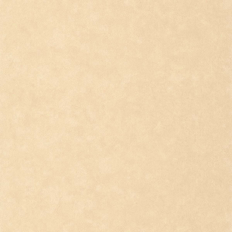 CER105241515 Uni Mat Ceramique Wallpaper by Caselio