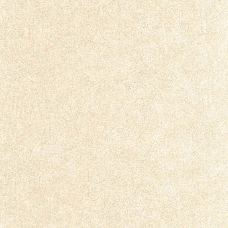 CER105241730 Uni Mat Ceramique Wallpaper by Caselio