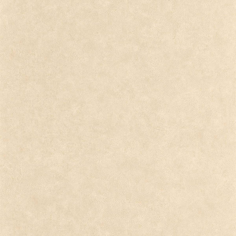 CER105241844 Uni Mat Ceramique Wallpaper by Caselio