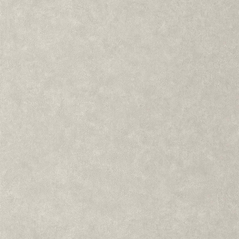 CER105242139 Uni Mat Ceramique Wallpaper by Caselio