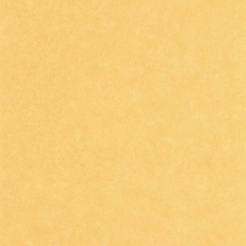 CER105242570 Uni Mat Ceramique Wallpaper by Caselio