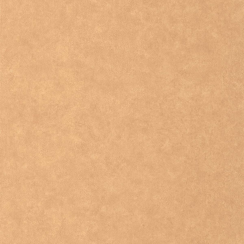 CER105243000 Uni Mat Ceramique Wallpaper by Caselio