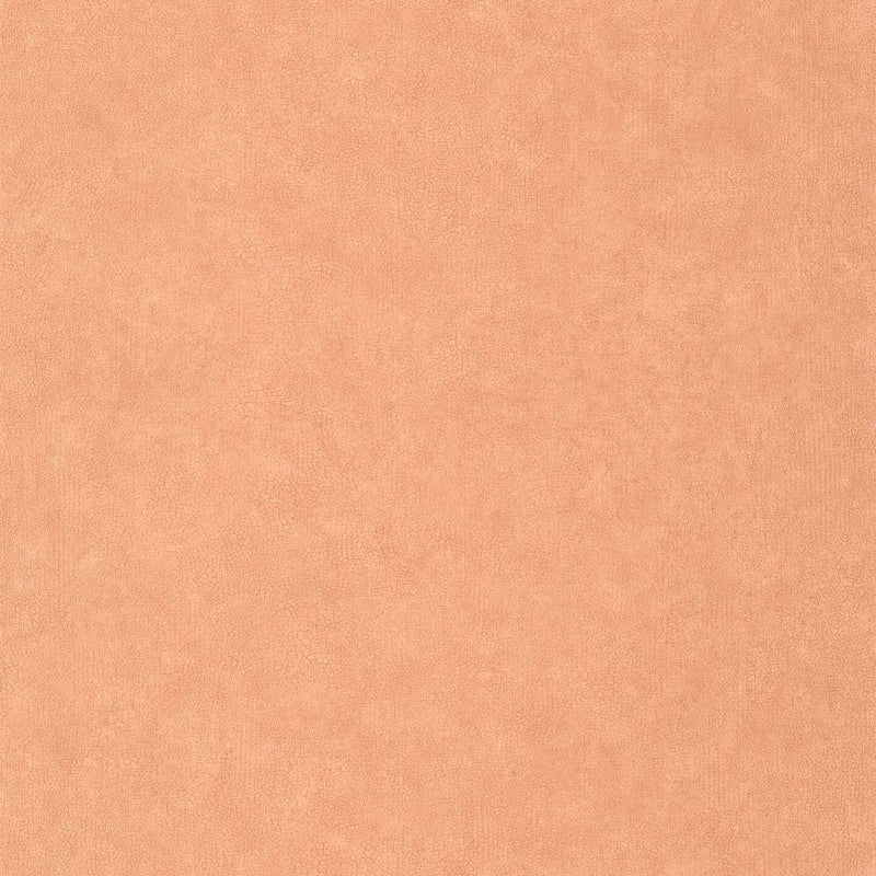 CER105243030 Uni Mat Ceramique Wallpaper by Caselio